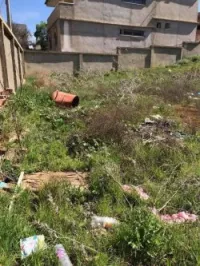 Vente Terrain Medea Medea