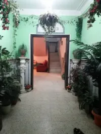 Vente Villa Alger Dely brahim