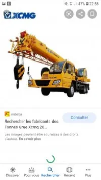Grue mobile 