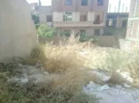 Vente Terrain Constantine El khroub