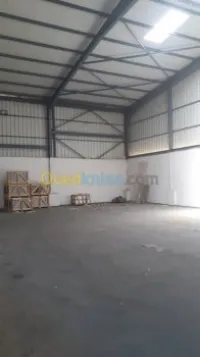 Location Hangar Alger Cheraga