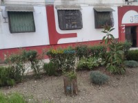 عنابة-الجزائر-شقة-byaa-shk-3-ghrf-aanab