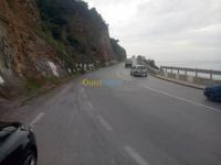 transport-et-demenagement-livraison-deplacement-voyageurs-annaba-algerie