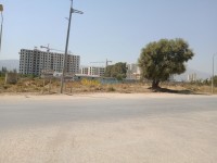 blida-chebli-algerie-terrain-vente