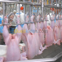 industrie-fabrication-abattoir-volaille-chine-etranger-algerie