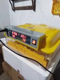 chlef-algerie-industrie-fabrication-فقسات-بيضة-مختلف-الأحجام