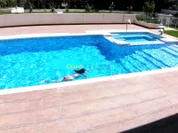 Réalisation de piscine 