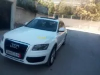 Audi Q5 2010 