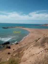 مستغانم-الجزائر-شقة-location-appartement-f4-mostaganem