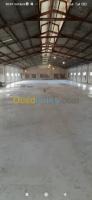 hangar-location-oran-el-braya-algerie