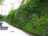 construction-travaux-mur-vegetal-khraissia-alger-algerie