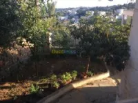 Vente Villa Alger El biar