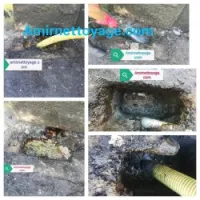 Débouchage conduite vidange fosse sept