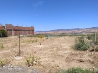 عين-الدفلى-الجزائر-أرض-byaa-ard-aayn-aldfl