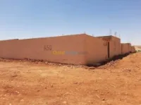 Vente Terrain Saida Ain el hadjar