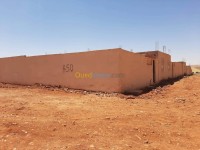 أرض-بيع-سعيدة-عين-الحجر-الجزائر
