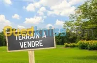 Vente Terrain Alger Ben aknoun