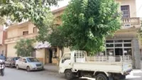 Vente Immeuble Batna Batna