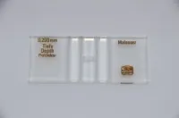 CELLULE DE MALASSEZ 