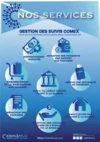 Gestion de suivi des dossiers COMEX