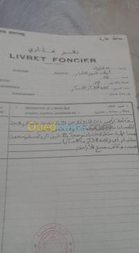 تلمسان-مغنية-الجزائر-أرض-byaa-ard-tlmsan-mghny