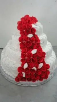 ORGANISATION DES FETES