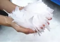 Fabrique de glace en écaille 