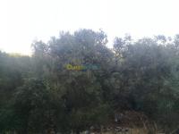 الجزائر-درارية-شقة-tbadl-shk-2-ghrf-aljzaer-drary