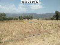 بومرداس-الجزائر-أرض-فلاحية-bhth-aan-shra-ard-flahy-bomrdas