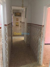 سعيدة-الجزائر-شقة-byaa-shk-4-ghrf-saayd