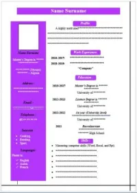 Saisie- CV ar/fr/An- Lettre Moti- Ppt