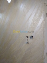الجزائر-برج-الكيفان-بناء-و-أشغال-peinture-et-drécoration