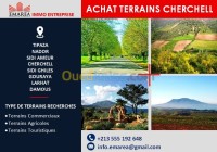تيبازة-شرشال-الجزائر-أرض-vente-terrain-tipaza-cherchell