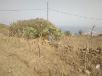 عنابة-الجزائر-أرض-byaa-ard-aanab