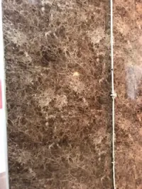 Dècoration 
