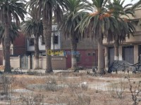 مستغانم-مزغران-الجزائر-أرض-byaa-ard-mstghanm-mzghran