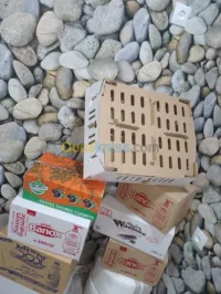 Carton 