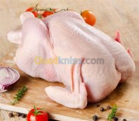 توريد-الطعام-و-حلويات-poulet-زرالدة-الجزائر