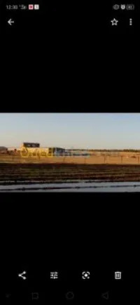 Vente Terrain Agricole Sidi Bel Abbès Sidi bel abbes