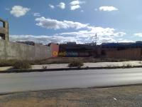 عين-تموشنت-بني-صاف-الجزائر-أرض-vente-terrain-ain-temouchent-beni-saf