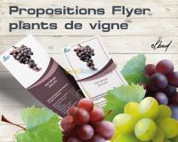 الجزائر-بوزريعة-إشهار-و-اتصال-flyers