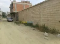 Vente Terrain Blida Ben khellil