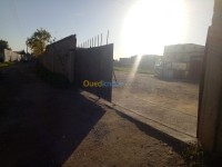الجزائر-الرغاية-أرض-بيع