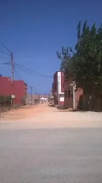 Vente Terrain Tlemcen Souk tlata