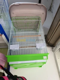 Cage perroquet