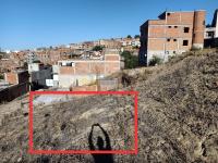 الجزائر-الدويرة-أرض-vente-terrain-alger-douera