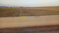 غليزان-الجزائر-أرض-فلاحية-vente-terrain-agricole-relizane