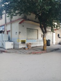 الجزائر-الكاليتوس-فيلا-byaa-fyla-aljzaer-alkalytos