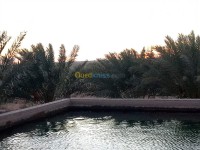 أرض-فلاحية-بيع-بسكرة-أوماش-الجزائر
