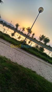 وهران-الجزائر-طب-و-صحة-consultations-spécialisées-a-domicile